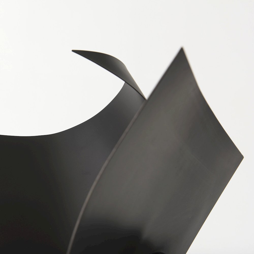 Francesca 18.1L x 18.1W x 18.1H Black Metal Sculptural Decorative Object. Picture 8
