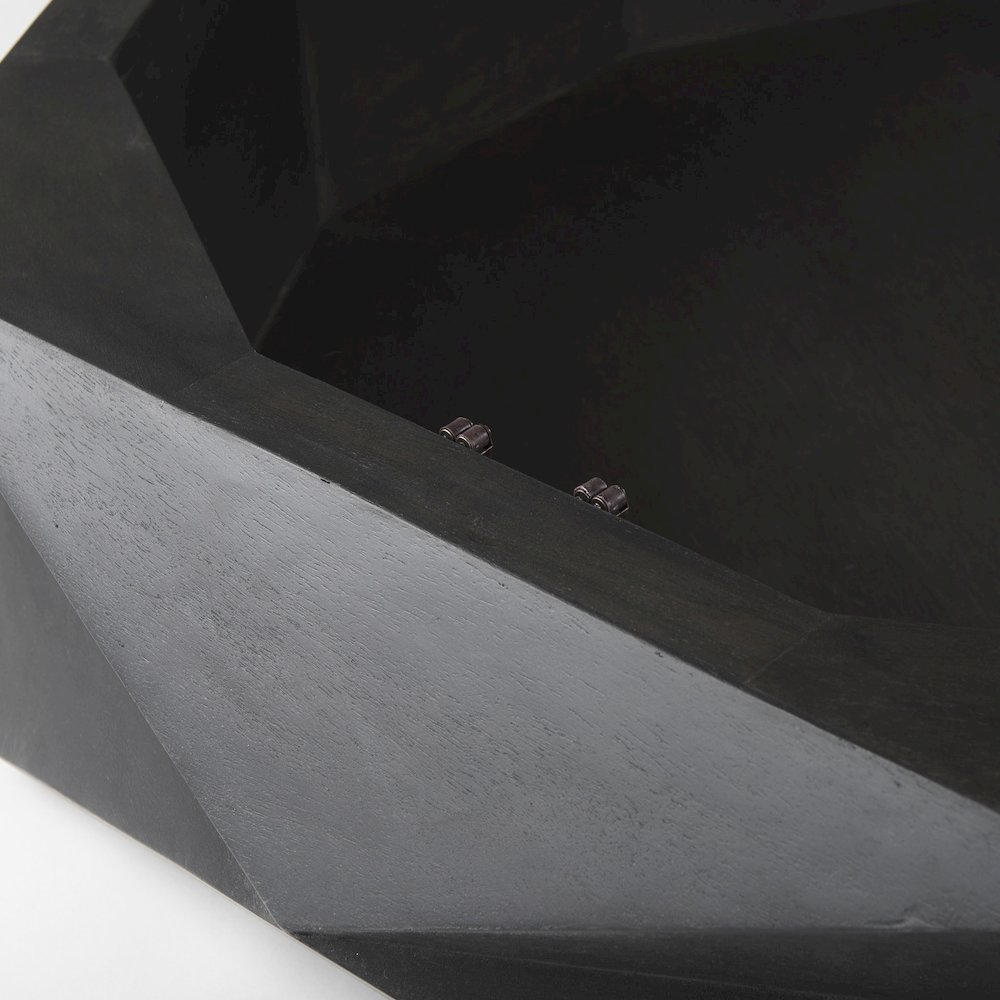 Black Solid Wood Hexagonal Storage Coffee Table. Picture 3