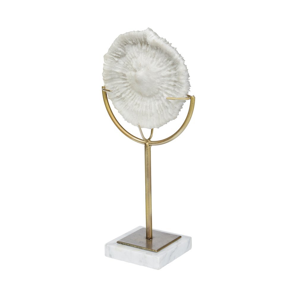 Sandy III (Large) 8L x 4W White Coastal Sand Dollar Object. Picture 1