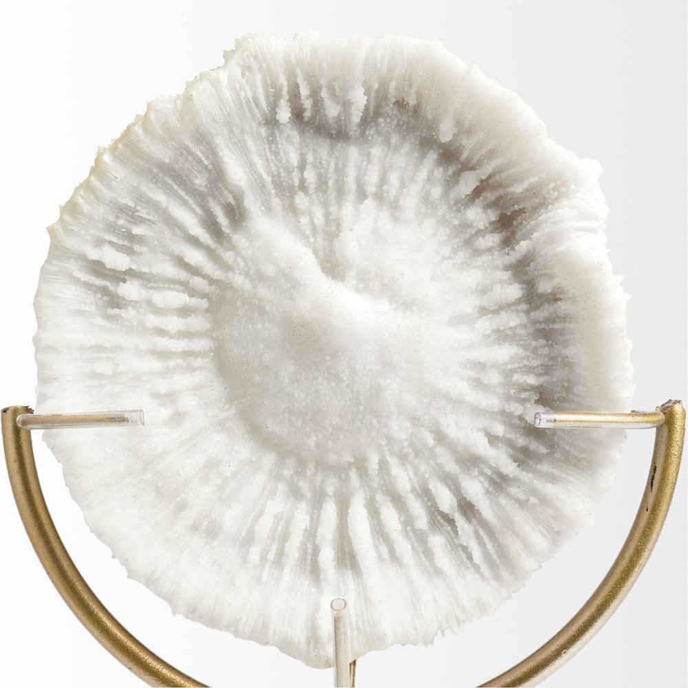 Sandy III (Large) 8L x 4W White Coastal Sand Dollar Object. Picture 3