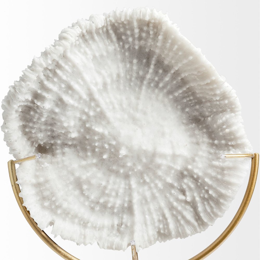 Sandy I (Small) 6L x 3W White Coastal Sand Dollar Object. Picture 3