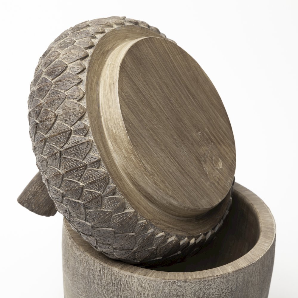 Mandor I (Small) 6L x 6W Brown Resin Acorn Box. Picture 4