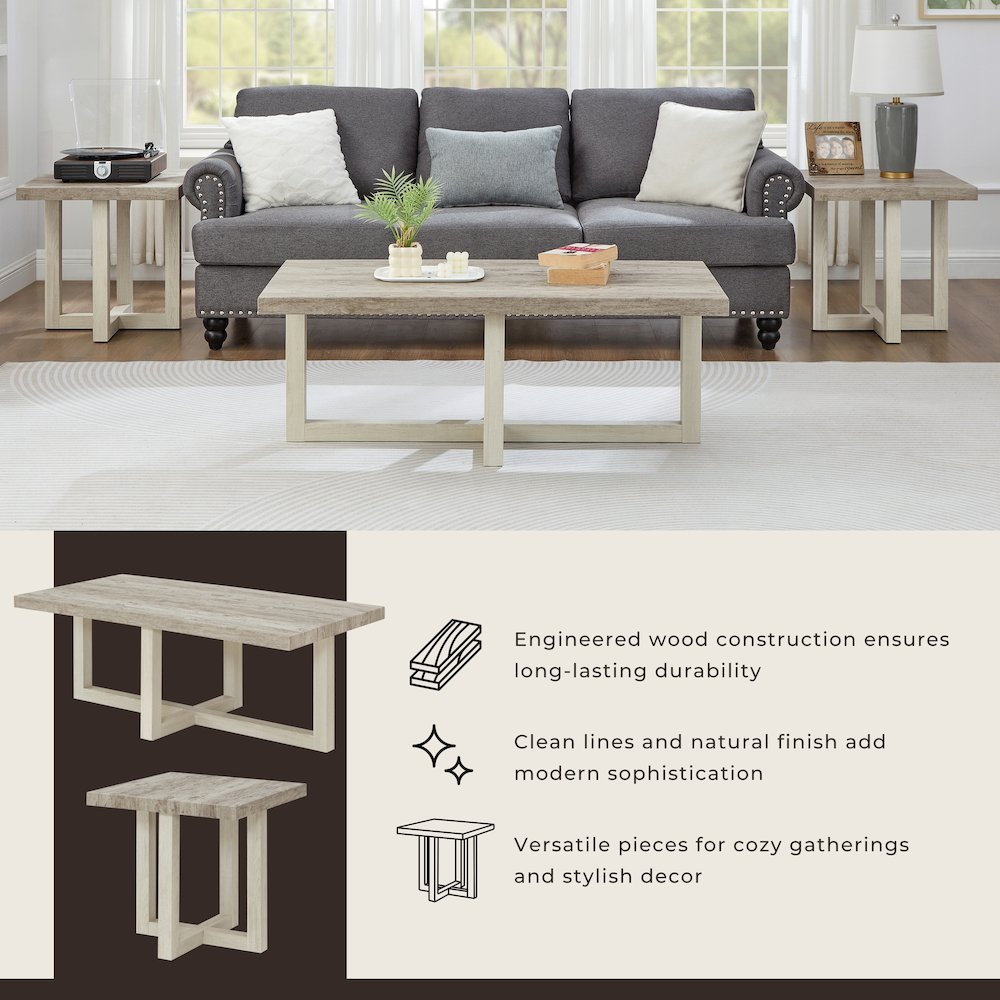 3-Piece Coffee Table Set, Coffee Table, Two End Tables, Weathered Gray and Beige. Picture 9