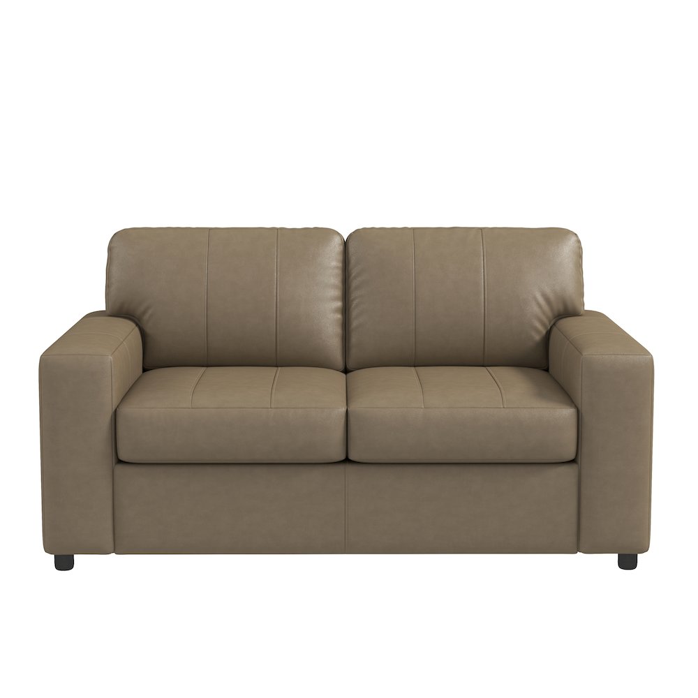 Sakan Leather Upholstered Loveseat, Beige. Picture 2