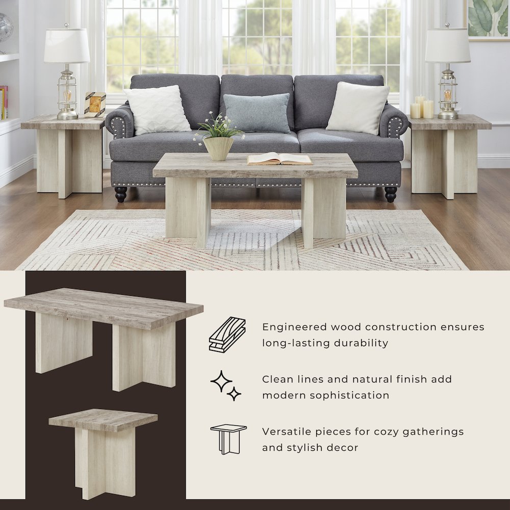 3-Piece Coffee Table Set, Coffee Table, Two End Tables, Weathered Gray and Beige. Picture 9