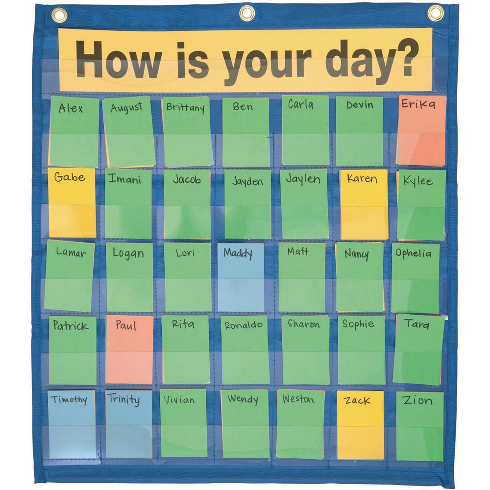 Pacon Behavioral Pocket Chart - 18.5" x 9.5" - 1 Chart - 35 Pockets - 180 Color-Coded Cards. Picture 1