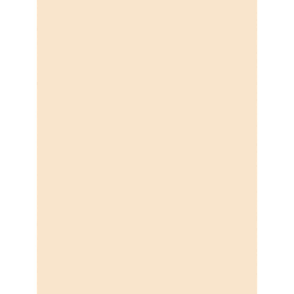 Medium Weight Tagboard, Manila, 18" x 24", 100 Sheets. Picture 1
