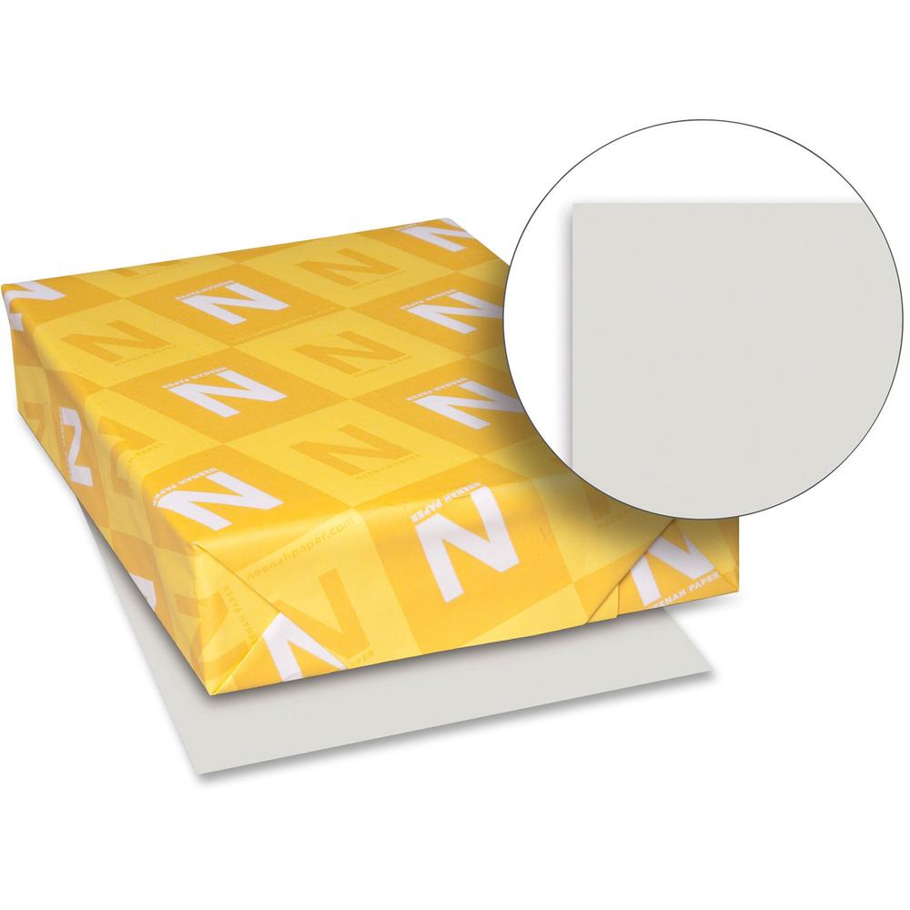 Exact Index Paper - Gray - Letter - 8 1/2" x 11" - 110 lb Basis Weight - 250 / Pack - Acid-free - Gray. Picture 1