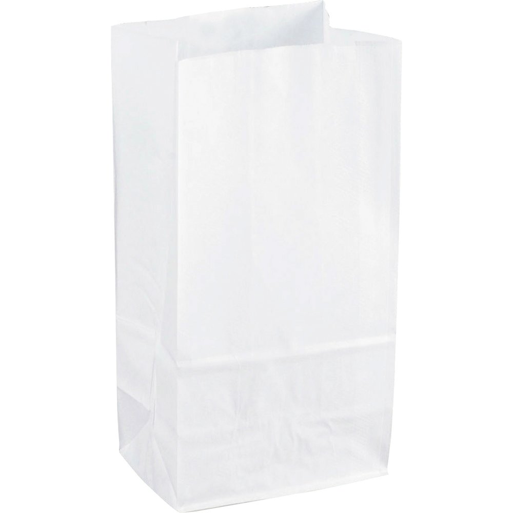 Sparco White Kraft Paper Bags - 11" Length x 6" Width - White - Paper - 100 / Pack. Picture 1