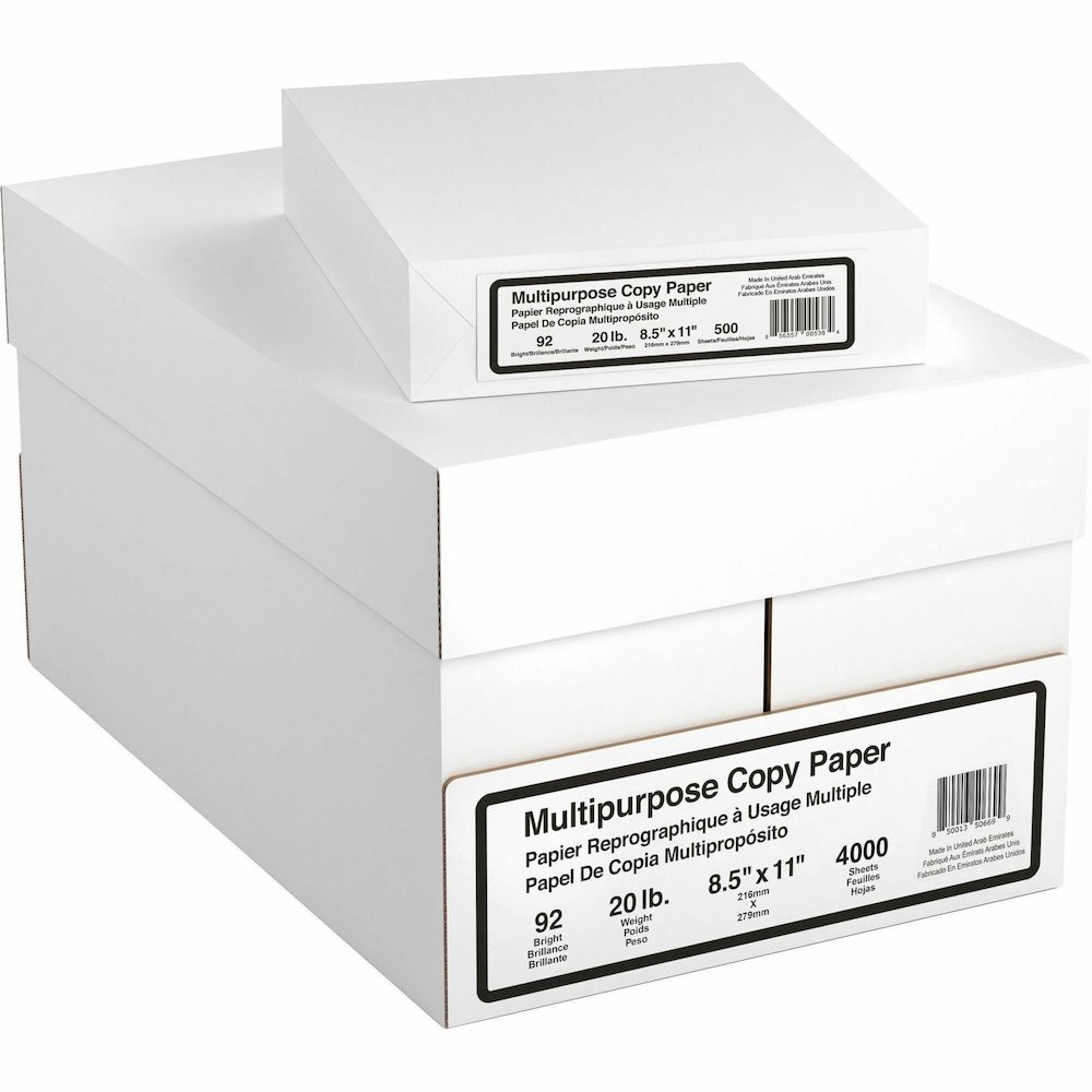 DSE 8 Ream Multipurpose Copy Paper - 4000 Sheets - 92 Brightness - Letter - 8 1/2" x 11" - 20 lb Basis Weight - White - 500 Sheets per Ream - 8 / Carton. Picture 1