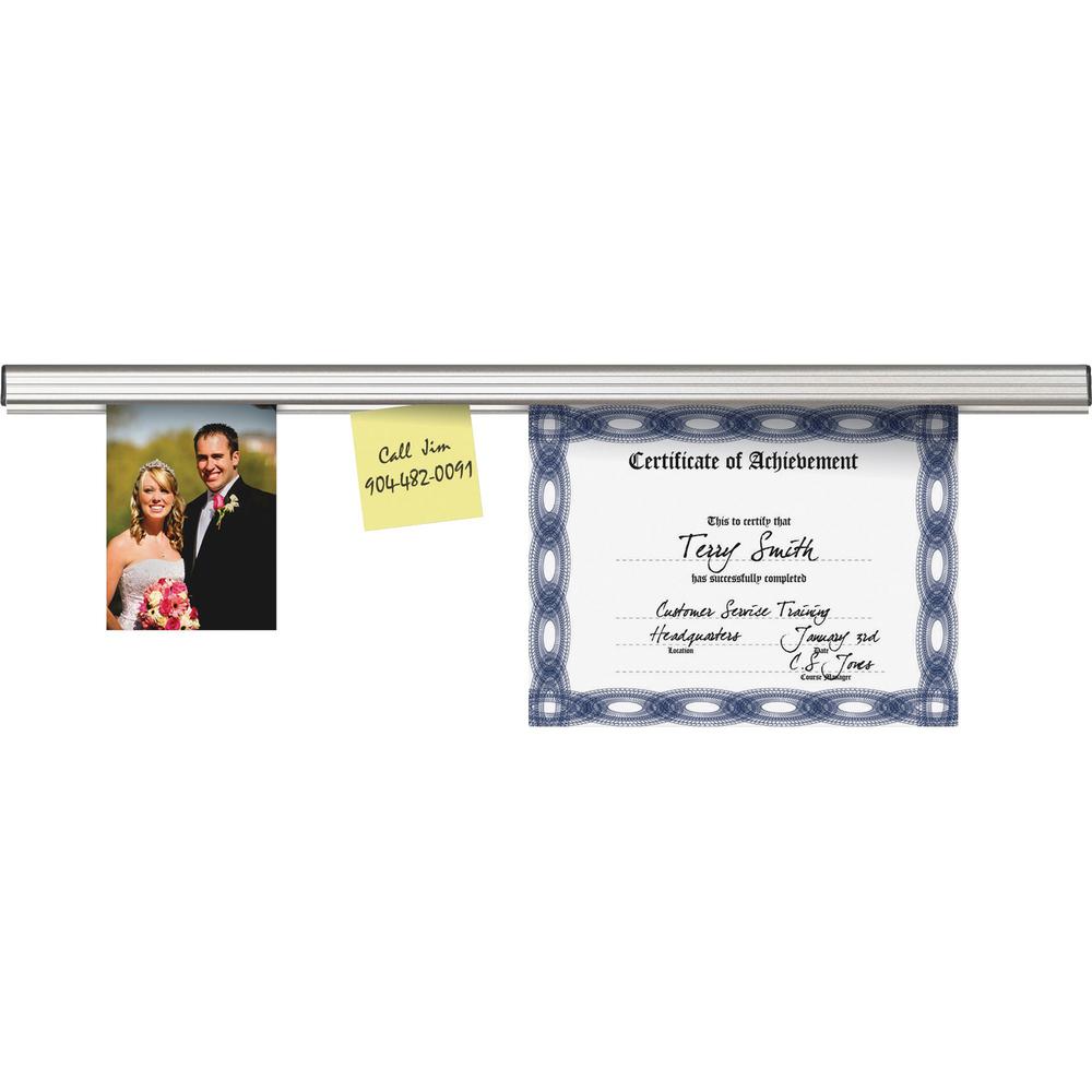 Advantus Mounting Rail - Satin - 1 Each. Picture 1