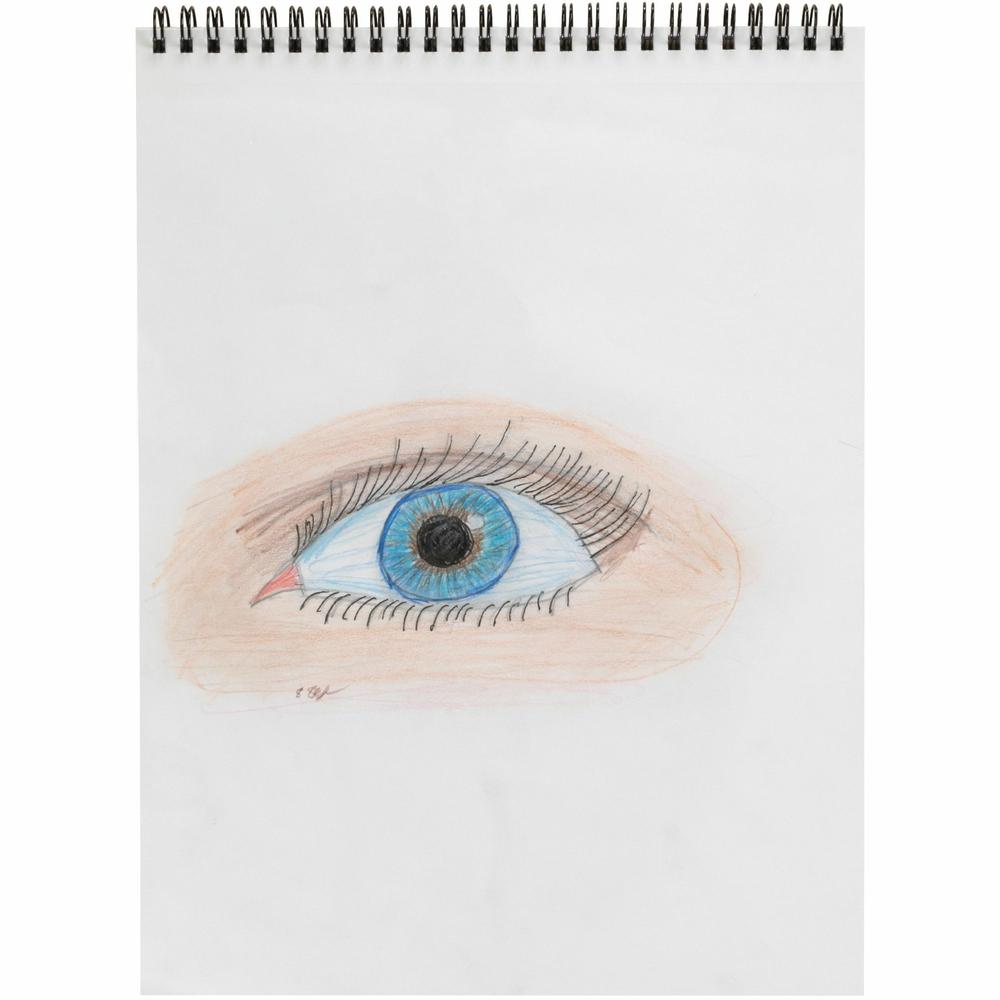 Prang Master Pack Colored Pencils - 3.3 mm Lead Diameter - Assorted Barrel - 288 / Box. Picture 3