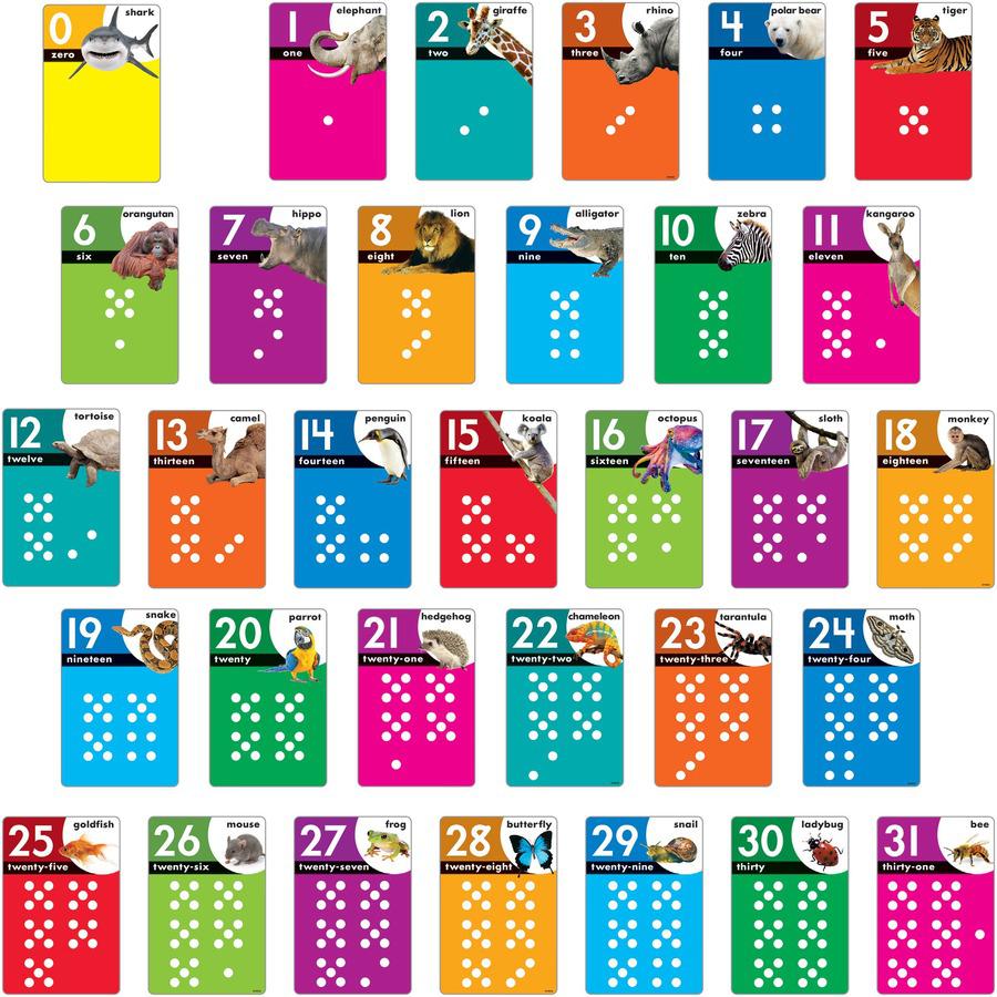 Trend Animals Count 0-31 Learning Set with Numbered Counting Cards - Theme/Subject: Fun - Skill Learning: Animal Shapes, Mathematics, Number - 1 Each. Picture 3