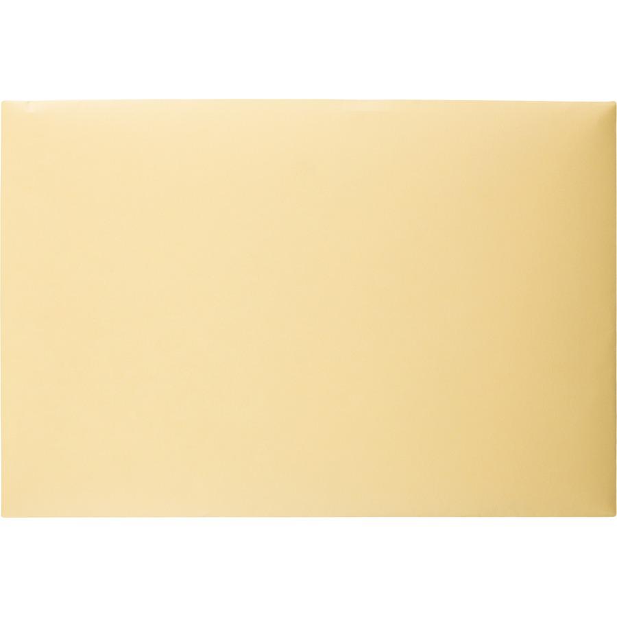Quality Park K739 Index Flat File - Ungummed Flaps - File - 10" Width x 14 3/4" Length - 110 lb - 100 / Box - Cameo. Picture 2