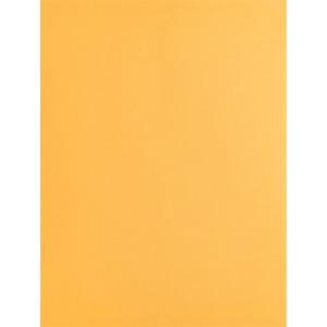 Business Source Kraft Gummed Catalog Envelopes - Catalog - #10 1/2 - 9" Width x 12" Length - 28 lb - Gummed - Kraft - Kraft - 250 / Box. Picture 4