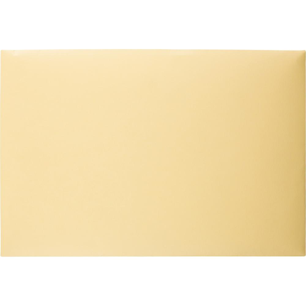 Quality Park K739 Index Flat File - Ungummed Flaps - File - 10" Width x 14 3/4" Length - 110 lb - 100 / Box - Cameo. Picture 5