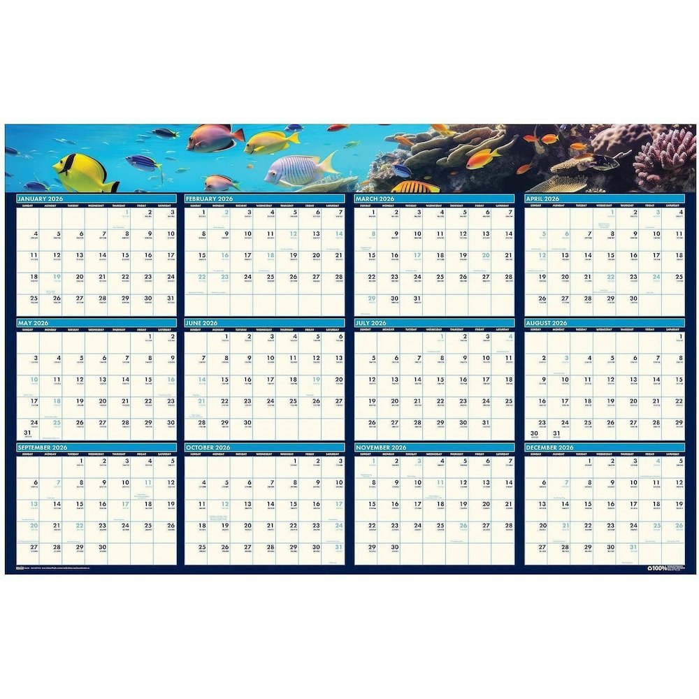House of Doolittle Earthscapes Sea Life Laminated Planner - Julian Dates - 12 Month - January 2026 to December 2026 - 24" x 37" Sheet Size - 1.13" x 1.25" , 1.25" x 1.13" Block - 1 Each. Picture 3