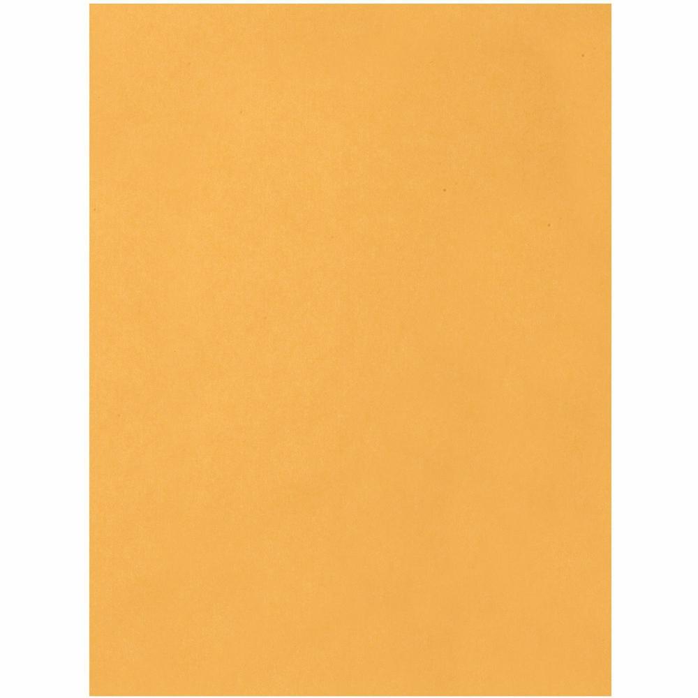 Quality Park 17 x 22 Jumbo Catalog Envelopes - Ungummed - Catalog - 17" Width x 22" Length - 28 lb - Kraft - 25 / Box - Kraft. Picture 2