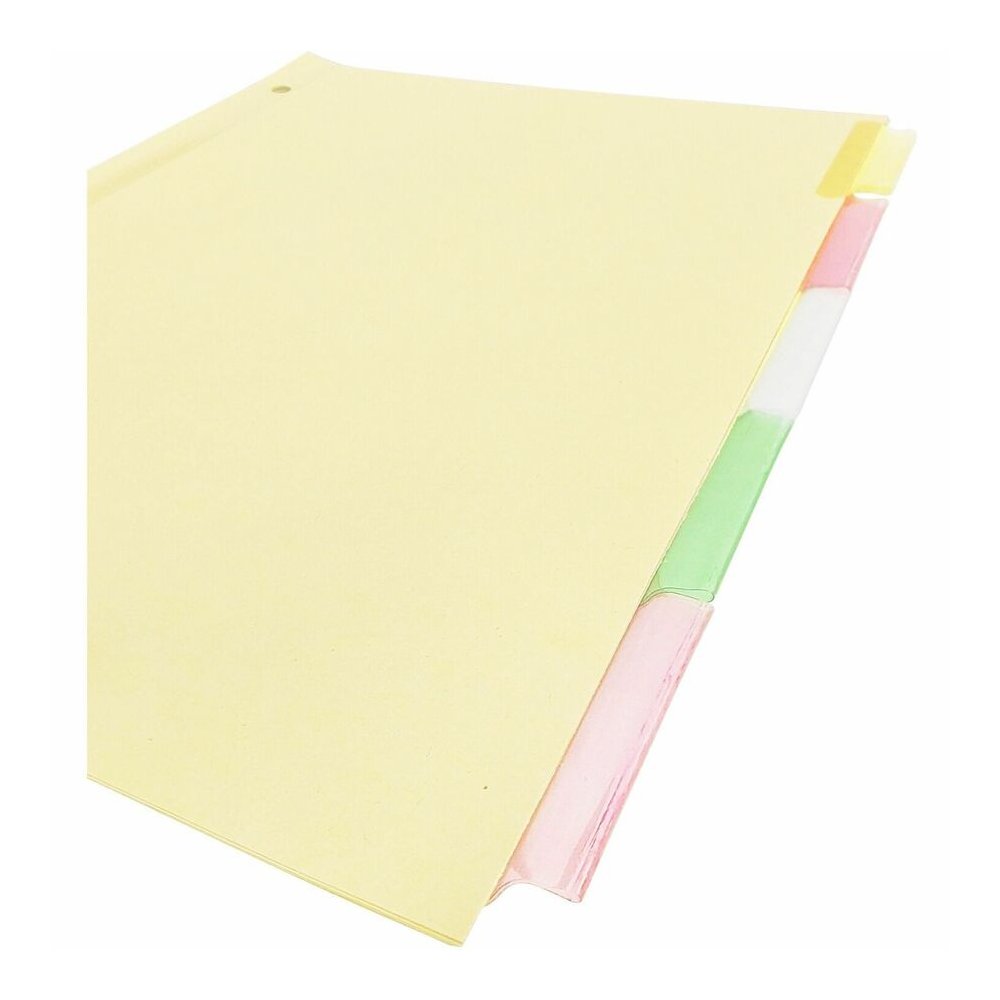 Business Source Insertable Tab Ring Binder Indexes - 5 Blank Tab(s) - 2" Tab Width - 8.5" Divider Width x 11" Divider Length - Letter - 3 Hole Punched - Multicolor Tab(s) - Tear Resistant, Reinforced . Picture 4