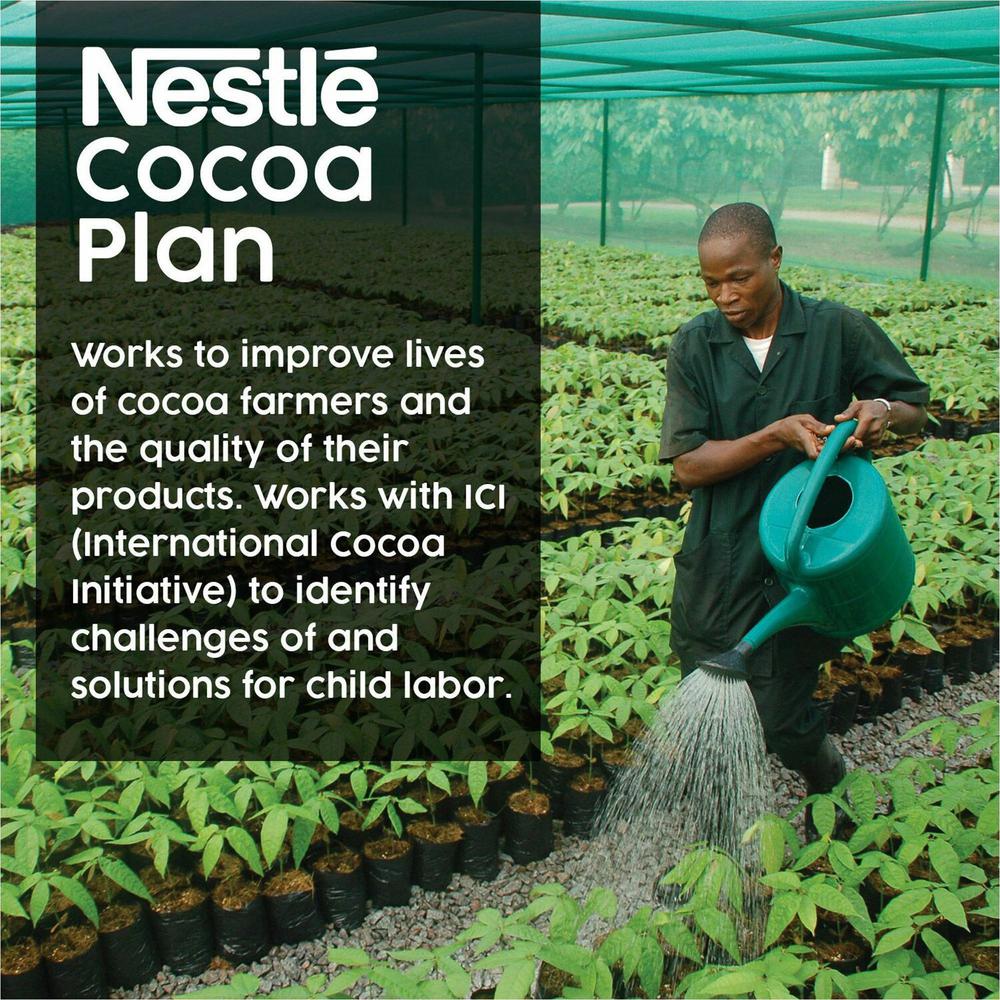Nestle Dark Chocolate Hot Cocoa Mix - 1.75 lb - 12 / Carton. Picture 3
