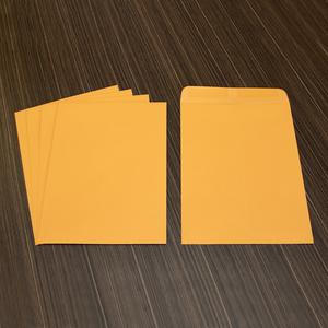 Business Source Kraft Gummed Catalog Envelopes - Catalog - #10 1/2 - 9" Width x 12" Length - 28 lb - Gummed - Kraft - Kraft - 250 / Box. Picture 7