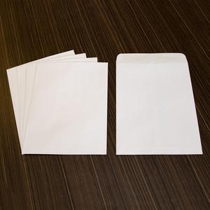 Business Source 28 lb. White Catalog Envelopes - Catalog - #10 1/2 - 9" Width x 12" Length - 28 lb - Gummed - White - Wove - 250 / Box. Picture 7