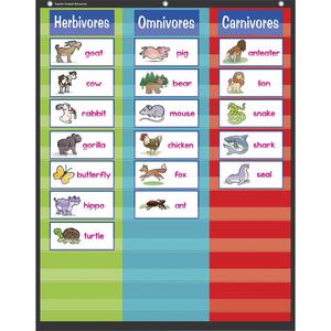 Teacher Created Resources 3 Column Pocket Chart - Theme/Subject: Learning - 1 Each. Picture 2