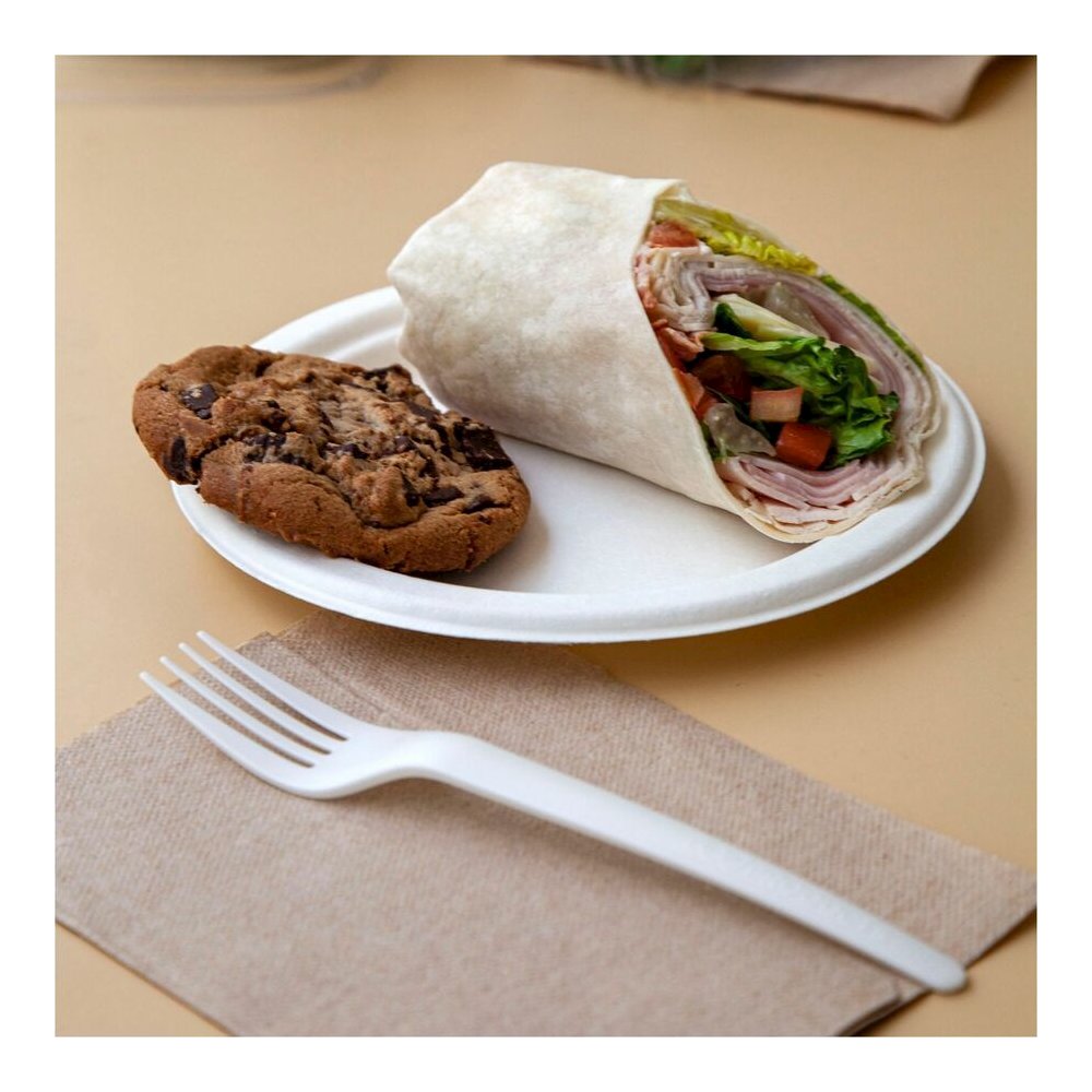 Eco-Products Vanguard 10" Sugarcane Plates - Breakroom - Disposable - Microwave Safe - 10" Diameter - White - Sugarcane Fiber Body - 500 / Carton. Picture 10