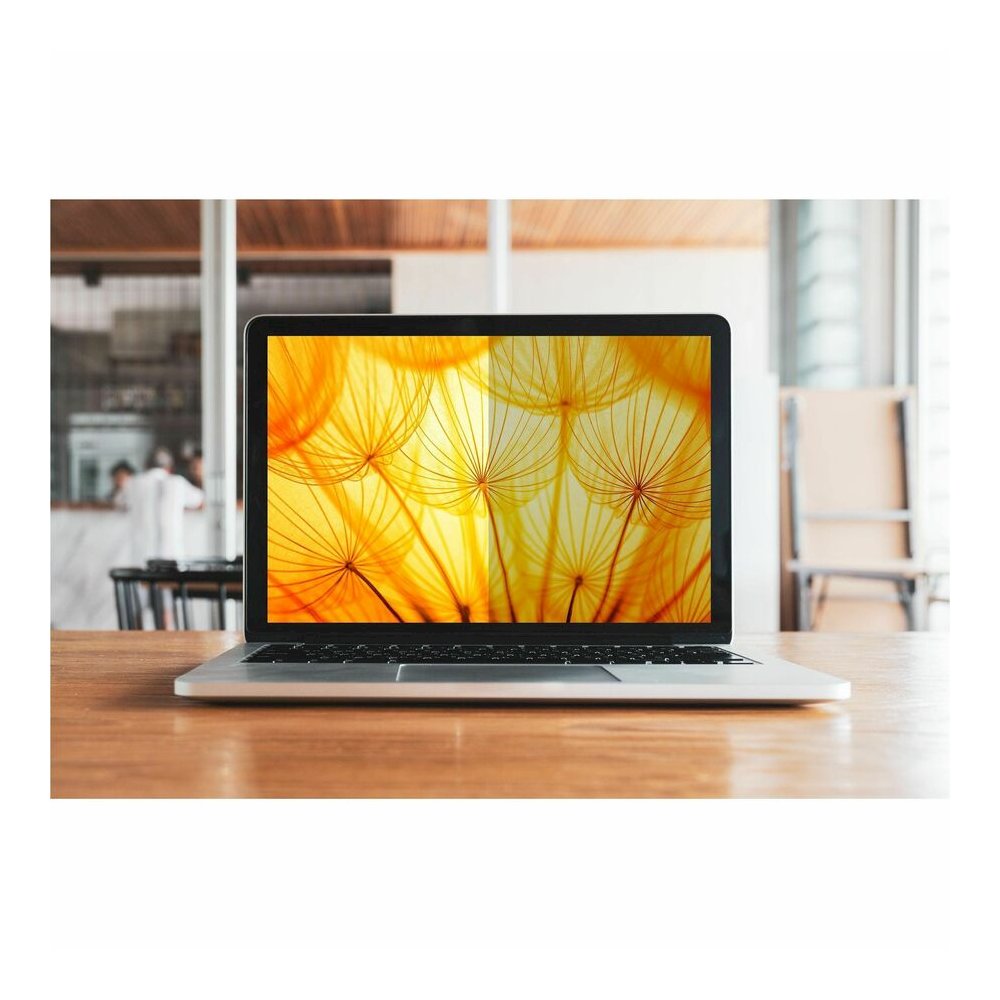 3M Bright Screen Privacy Filter for 14in Laptop, 16:9, BP140W9B Black, Matte - For 14" Widescreen LCD 2 in 1 Notebook - 16:9 - Scratch Resistant, Fingerprint Resistant - Anti-glare - 1 Each. Picture 3