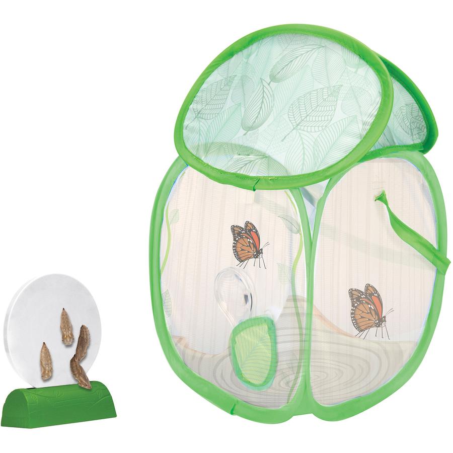 Educational Insights GeoSafari Jr. Butterfly Bungalow - Theme/Subject: Learning - Skill Learning: Scientific Terminologies, Discovery, Science, STEM - 4-10 Year - Multi. Picture 2