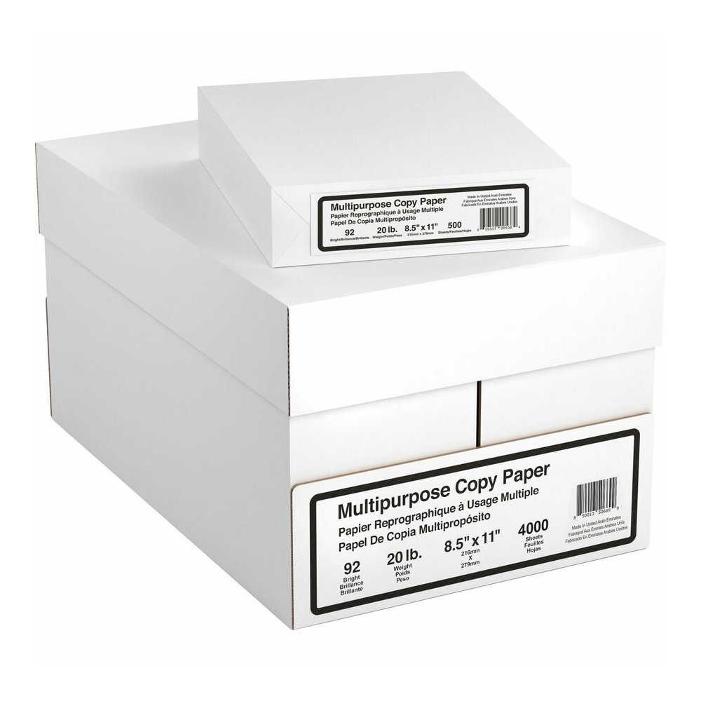 DSE 8 Ream Multipurpose Copy Paper - 4000 Sheets - 92 Brightness - Letter - 8 1/2" x 11" - 20 lb Basis Weight - White - 500 Sheets per Ream - 8 / Carton. Picture 3