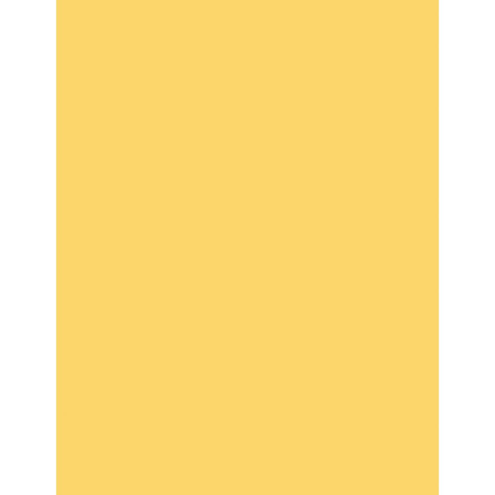 Sparco Premium Copy Paper - Canary - Letter - 8 1/2" x 11" - 20 lb Basis Weight - 500 / Ream - Sustainable Forestry Initiative (SFI) - Lint-free, Archival-safe, Acid-free - Canary. Picture 4