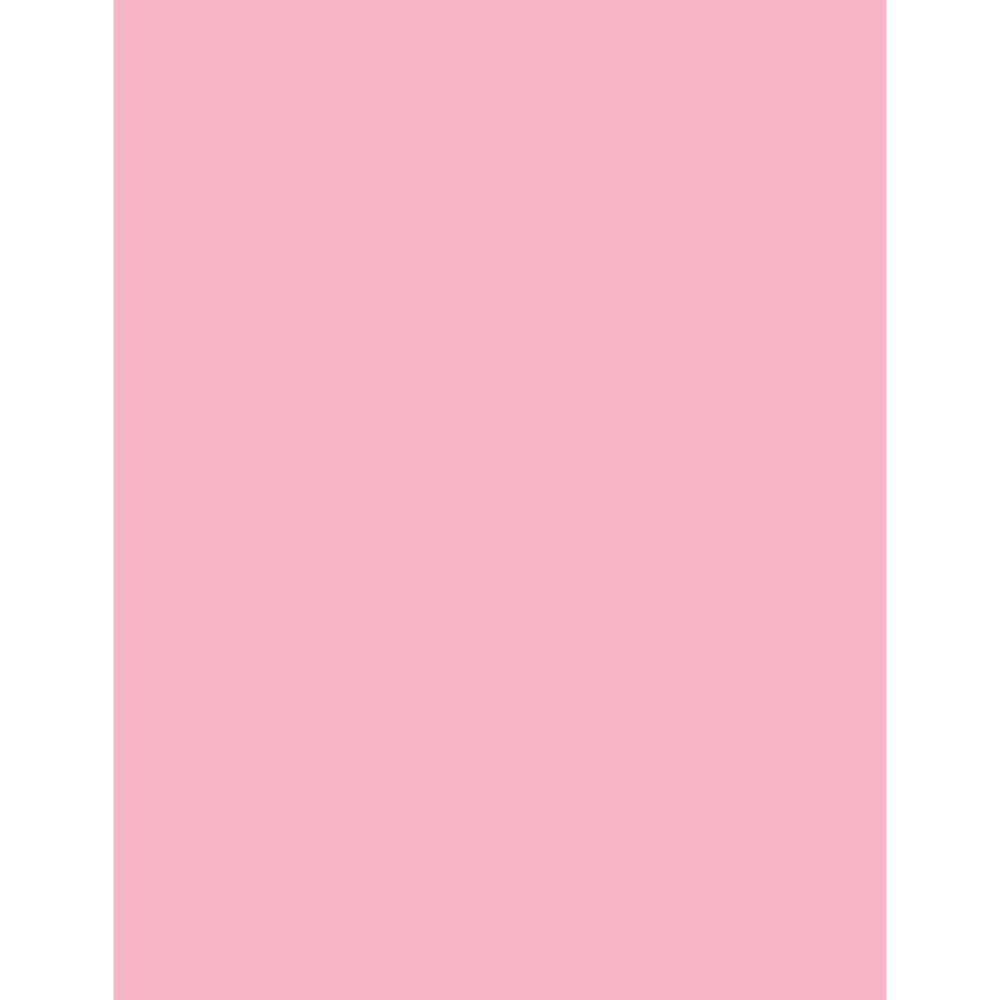 Sparco Premium Copy Paper - Pink - Letter - 8 1/2" x 11" - 20 lb Basis Weight - 500 / Ream - Sustainable Forestry Initiative (SFI) - Lint-free, Archival-safe, Acid-free - Pink. Picture 4