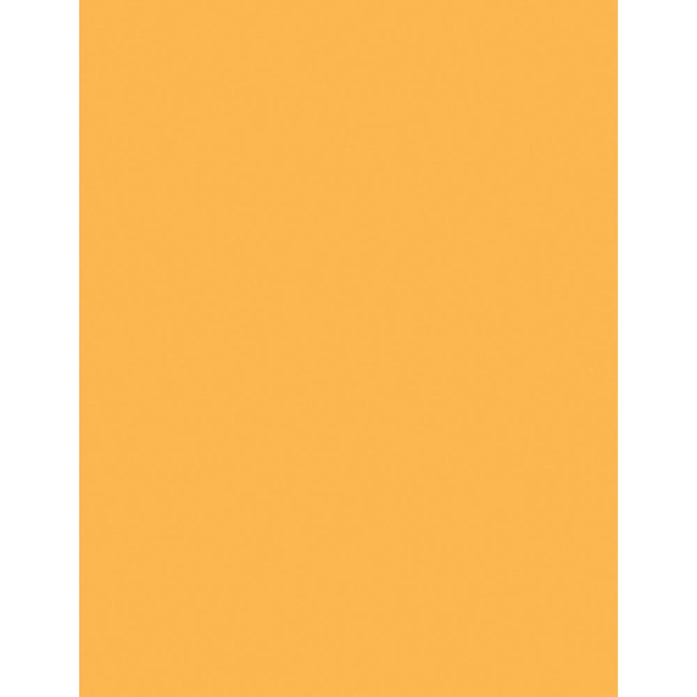 Sparco Premium Copy Paper - Goldenrod - Letter - 8 1/2" x 11" - 20 lb Basis Weight - Sustainable Forestry Initiative (SFI) - Lint-free, Archival-safe, Acid-free - Goldenrod - 500 / Ream. Picture 5