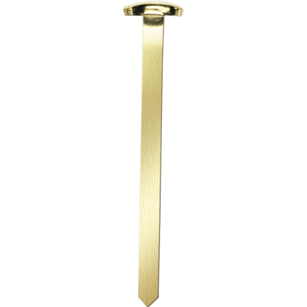 Officemate Roundhead Fasteners - 2" Shank - 0.50" Head - 100 / Box - Brass. Picture 3