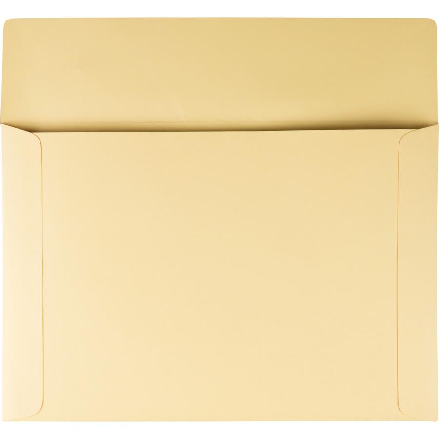 Quality Park K739 Index Flat File - Ungummed Flaps - File - 10" Width x 14 3/4" Length - 110 lb - 100 / Box - Cameo. Picture 3