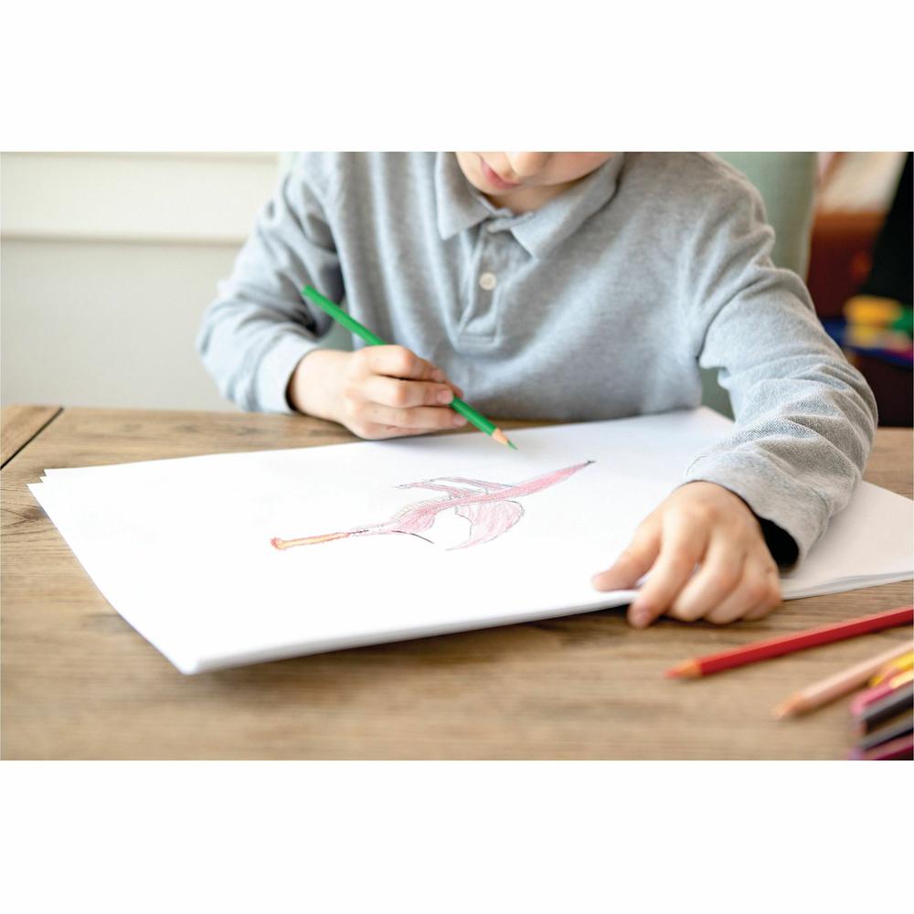 Pacon Drawing Paper - 500 Sheets - Plain - 12" x 18" - White Paper - Standard Weight - 500 / Ream. Picture 5