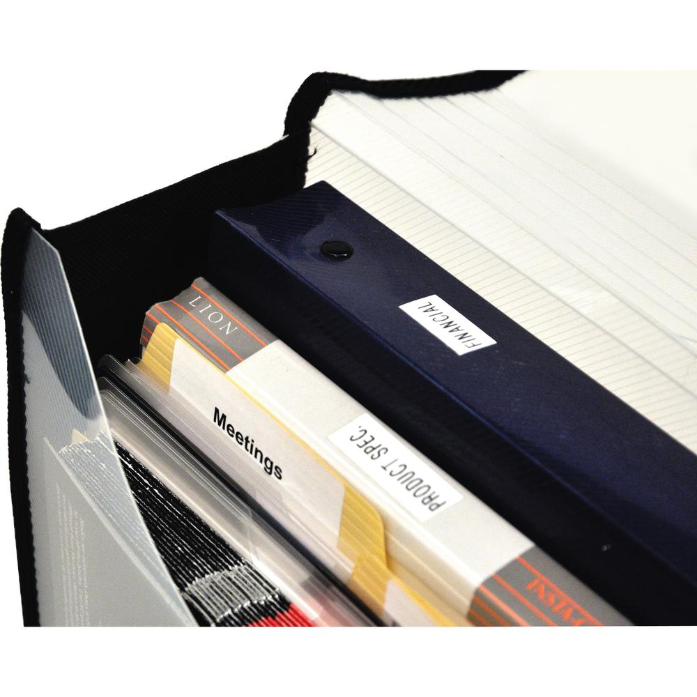 Lion EXPAND-N-FILE File Wallet - 3" Folder Capacity - Clear - 1 Each. Picture 2