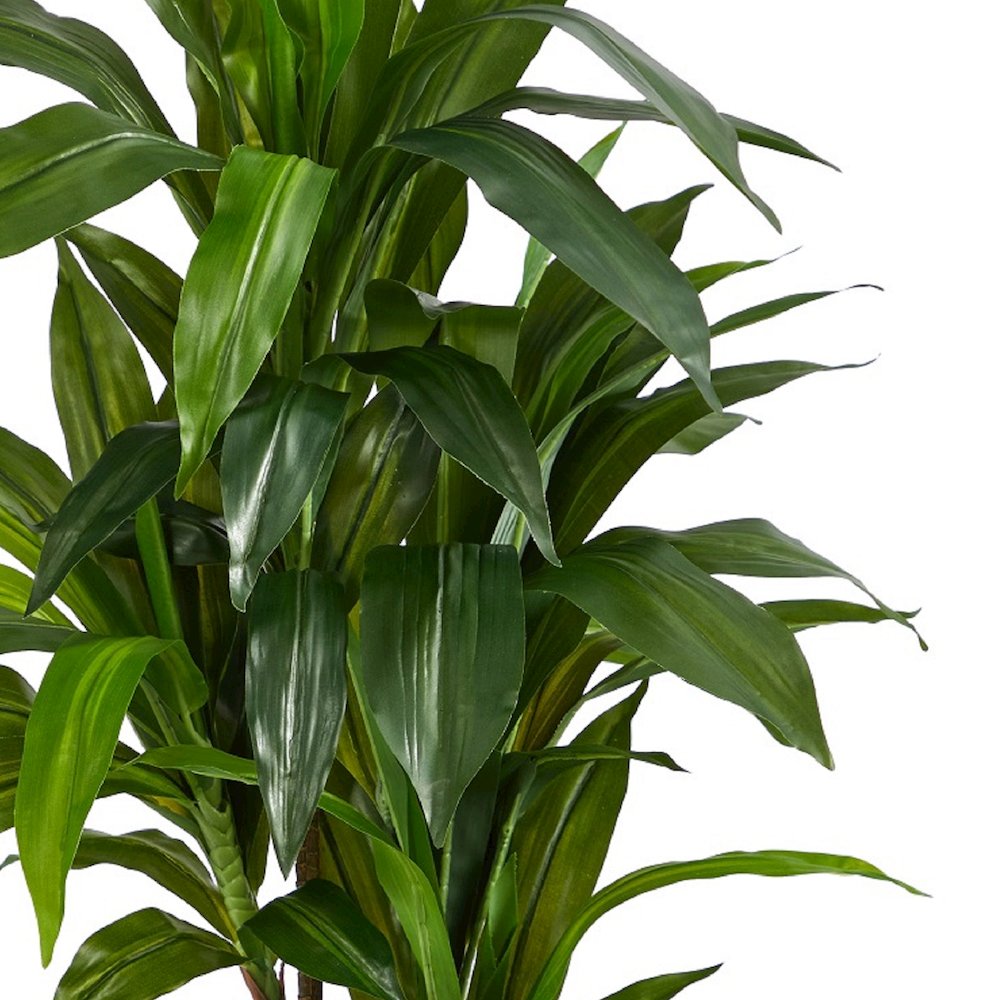 43in. Dracaena Silk Plant (Real Touch). Picture 3