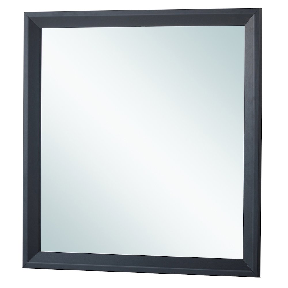 Glory Furniture Primo Mirror in Black Color. Picture 1