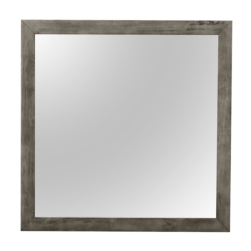 Glory Furniture Burlington Mirror in Gray Color. Picture 2