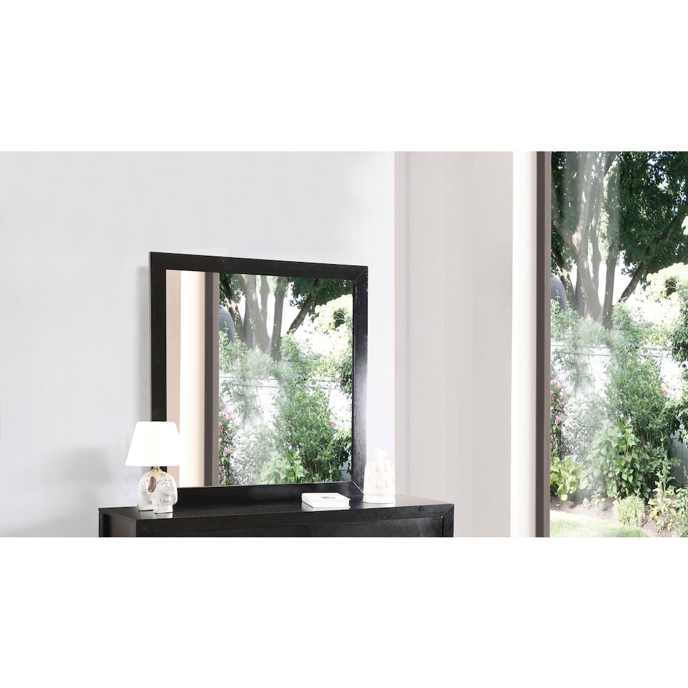 Glory Furniture Burlington Mirror in Black Color. Picture 7