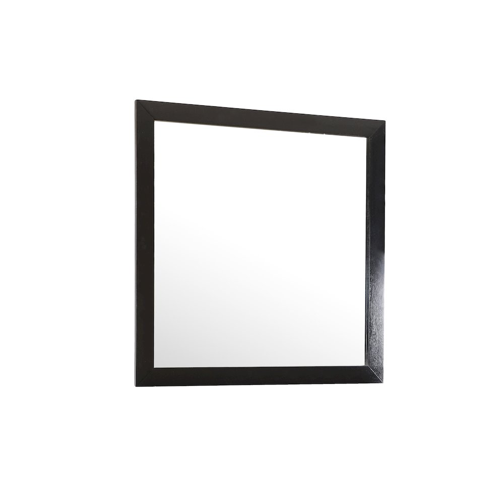 Glory Furniture Burlington Mirror in Black Color. Picture 1