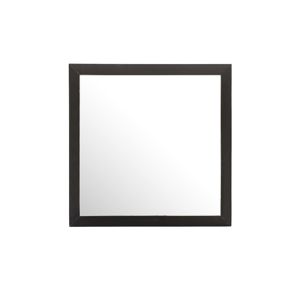 Glory Furniture Burlington Mirror in Black Color. Picture 2