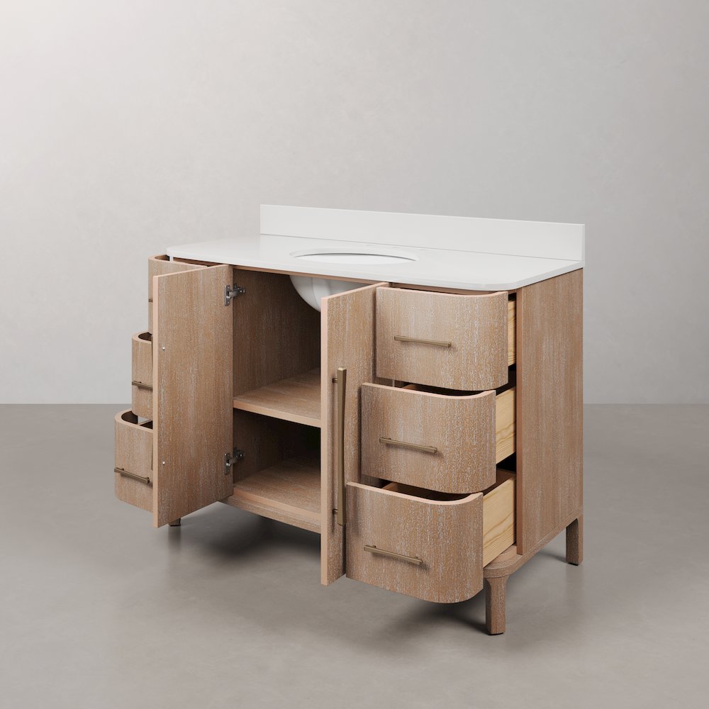Cirilla 48 In. Single Sink Pre-Assembled Transitional Style Bathroom Vanity. Picture 4