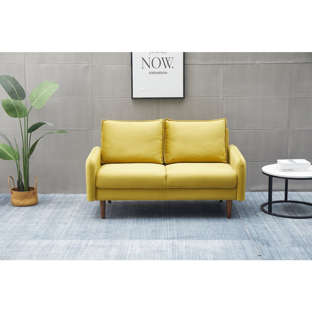 Jadier Velvet Living Room Loveseat. Picture 4