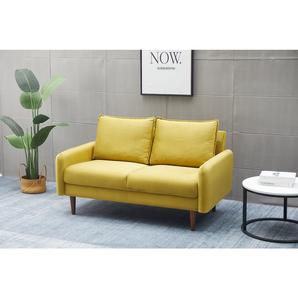 Jadier Velvet Living Room Loveseat. Picture 1