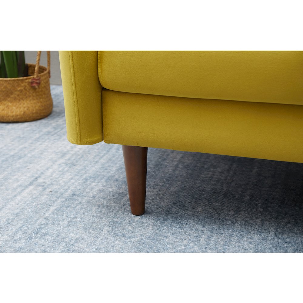 Jadier Velvet Living Room Sofa. Picture 9