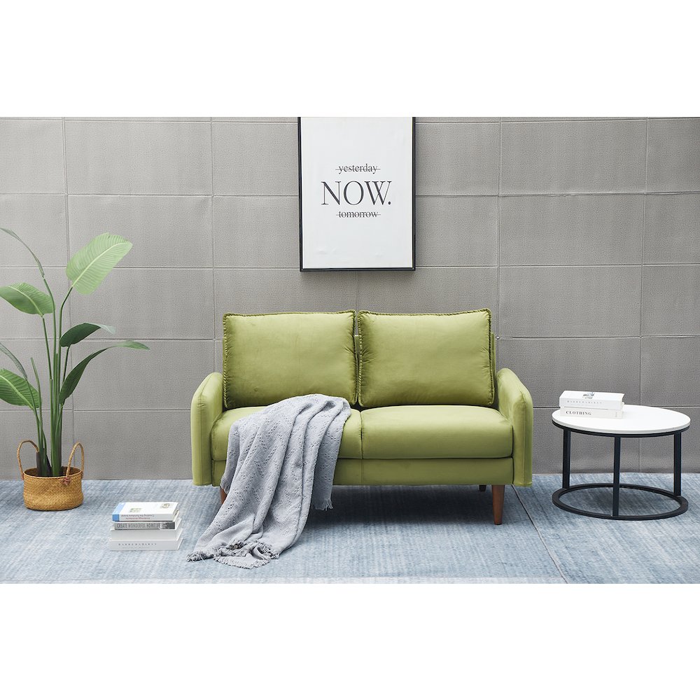 Jadier Velvet Living Room Loveseat. Picture 3