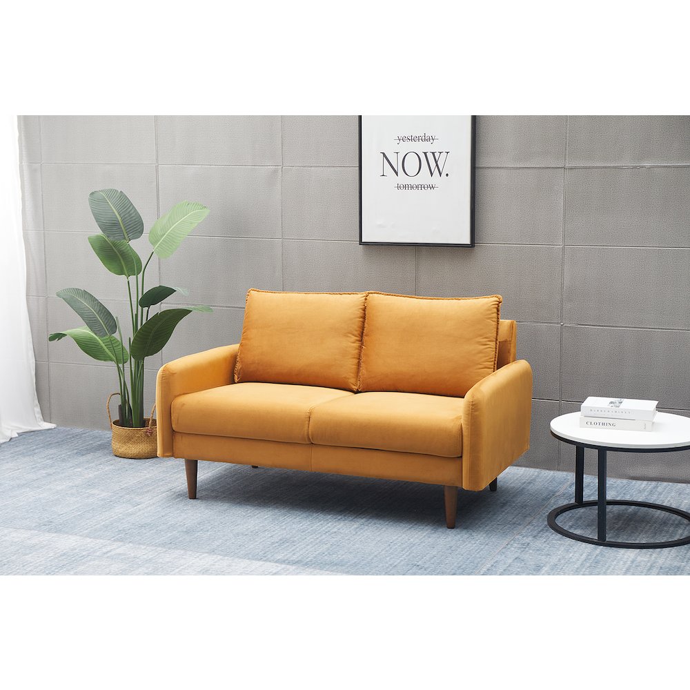 Jadier Velvet Living Room Loveseat. Picture 1